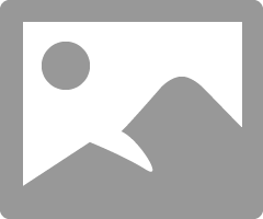 WelshTerrier_0-1690296200749.png