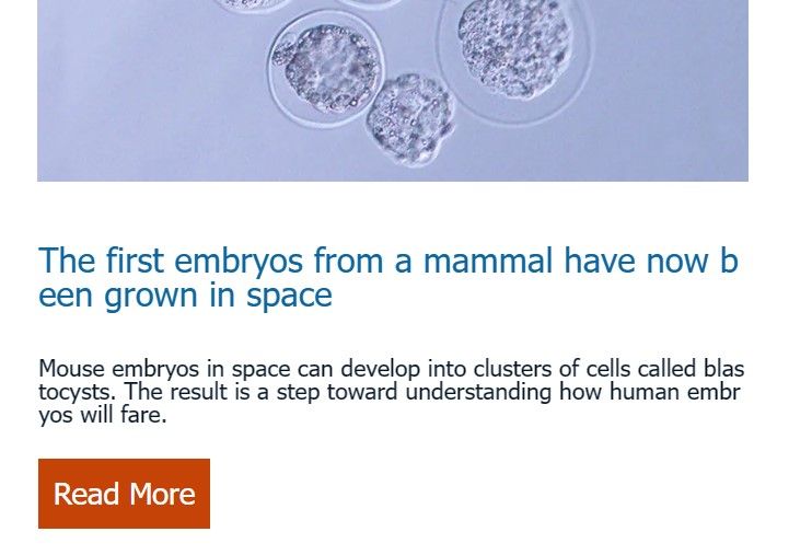 Bell Webmail word wrap bug in Edge - 1.jpg