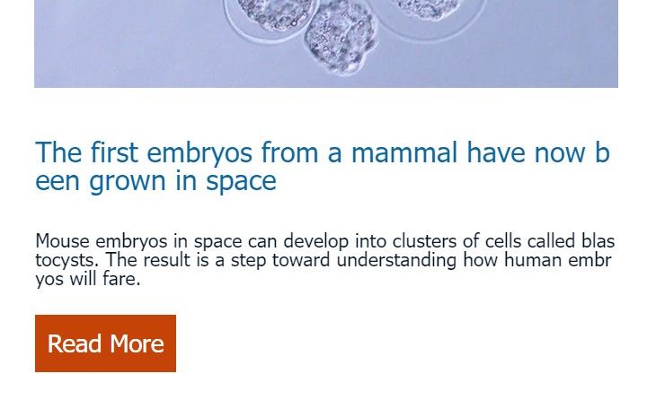 Bell Webmail word wrap bug in Chrome.jpg