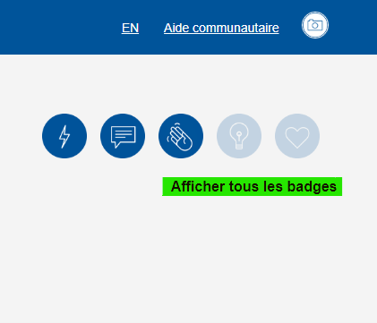 MyProfile_ViewBadges_FR_screncap.png MyProfile_ViewBadges_FR_screncap.png