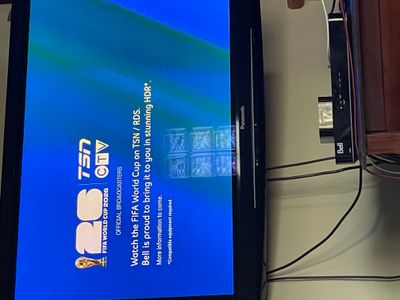IMG_6953.jpeg